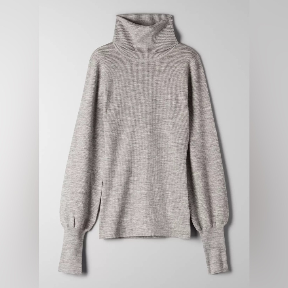 Wilfred Aritzia Positano Turtleneck